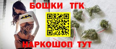 индика Комсомольск-на-Амуре