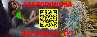 молекула духа Коммунар