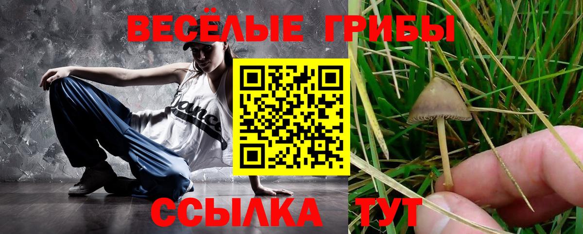 Псилоцибиновые грибы GOLDEN TEACHER  где найти наркотики  Соль-Илецк  Вход с VPN 